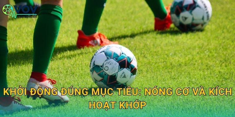 Khởi động đúng mục tiêu: nóng cơ và kích hoạt khớp