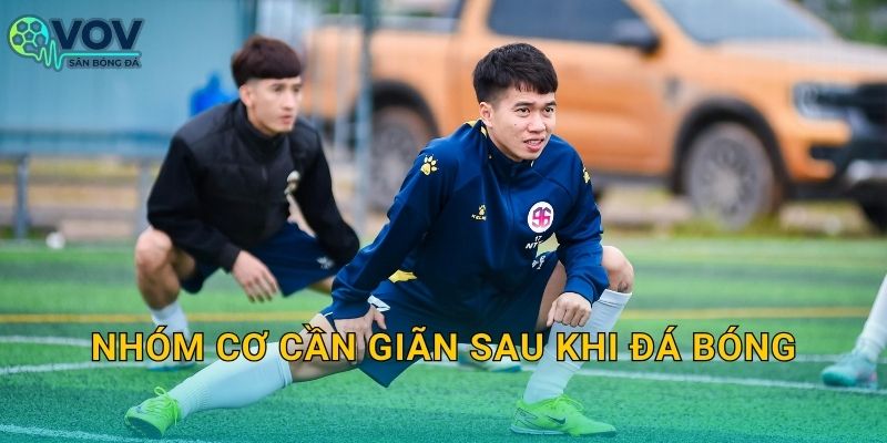 Nhóm cơ cần giãn sau khi đá bóng