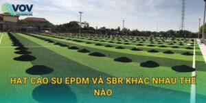 Hạt cao su EPDM và SBR khác nhau thế nào: Chọn loại phù hợp ngân sách và độ bền sân