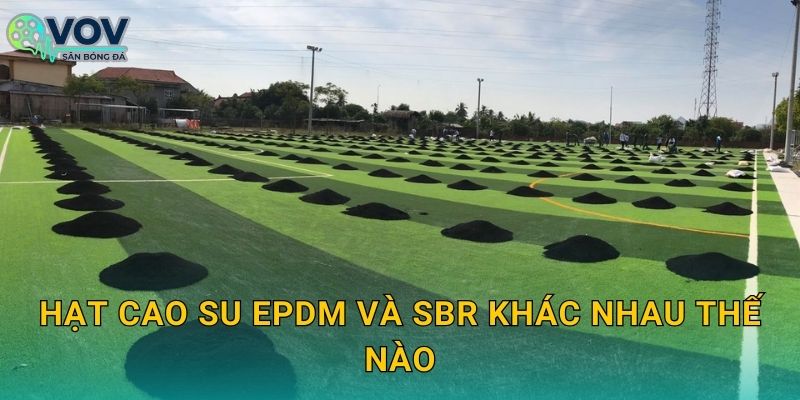 Hạt cao su EPDM và SBR khác nhau thế nào: Chọn loại phù hợp ngân sách và độ bền sân