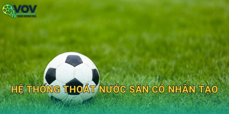 Hệ thống thoát nước sân cỏ nhân tạo: Thiết kế rãnh–ống–lớp lọc để sân khô nhanh