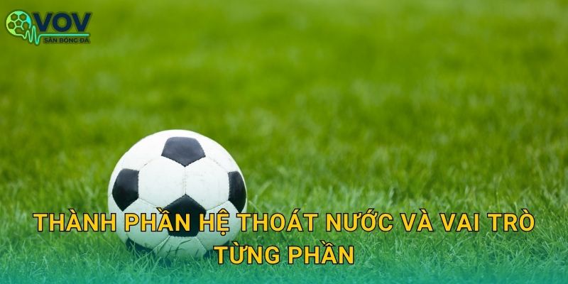 Thành phần hệ thoát nước và vai trò từng phần