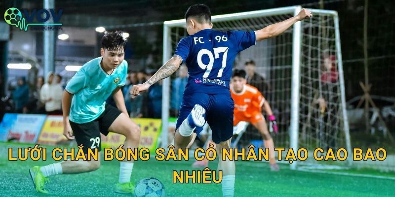 Lưới chắn bóng sân cỏ nhân tạo cao bao nhiêu: Chọn chiều cao theo loại sân và vị trí lắp