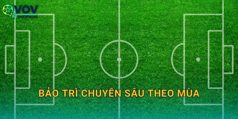 Bảo trì chuyên sâu theo mùa