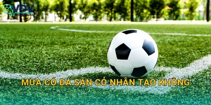 Mưa có đá sân cỏ nhân tạo không: Khi nào nên đá, khi nào nên hoãn để an toàn