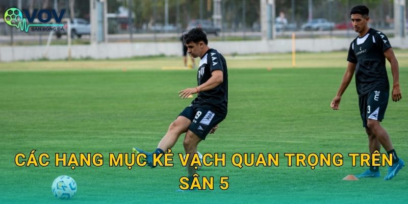 Các hạng mục kẻ vạch quan trọng trên sân 5