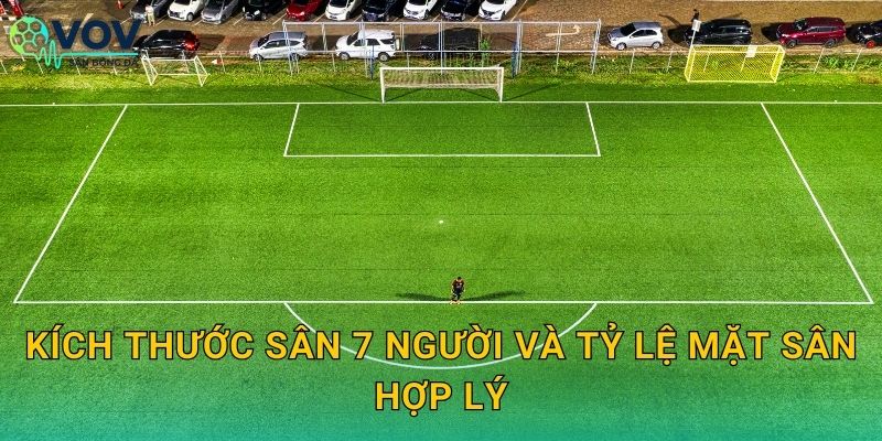 Kích thước sân 7 người và tỷ lệ mặt sân hợp lý