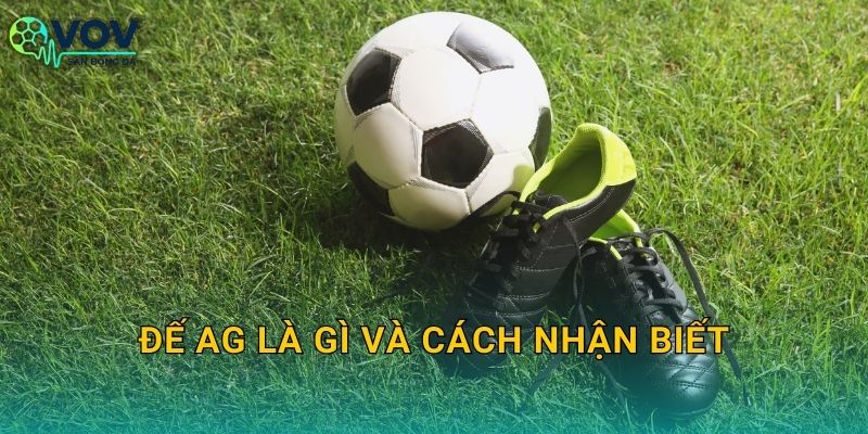 Đế AG là gì và cách nhận biết